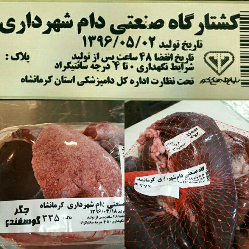 اجرای طرح بسته بندی آلایش خوراکی دام در کشتارگاه صنعتی دام بیستون کرمانشاه