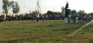 برگزاری مسابقات کشتی لوچو در روستای رودبست بابلسر