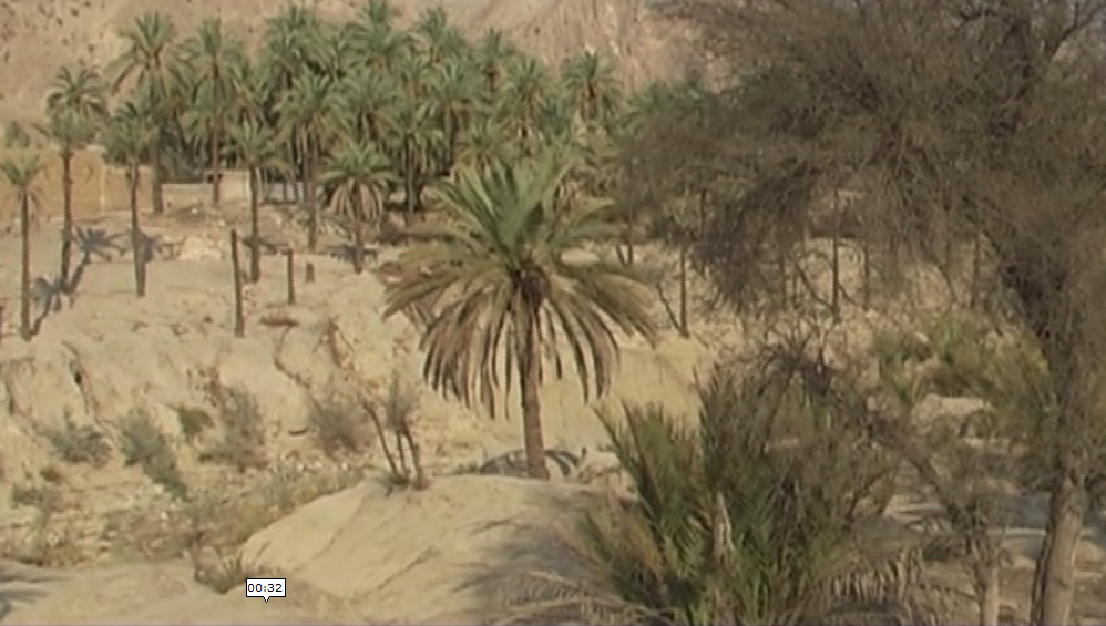خشکسالی شدید در روستای رود فاریاب دشتستان