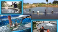 توسعه پرورش ماهیان خاویاری در اولویت آبزی‌پروری کشور