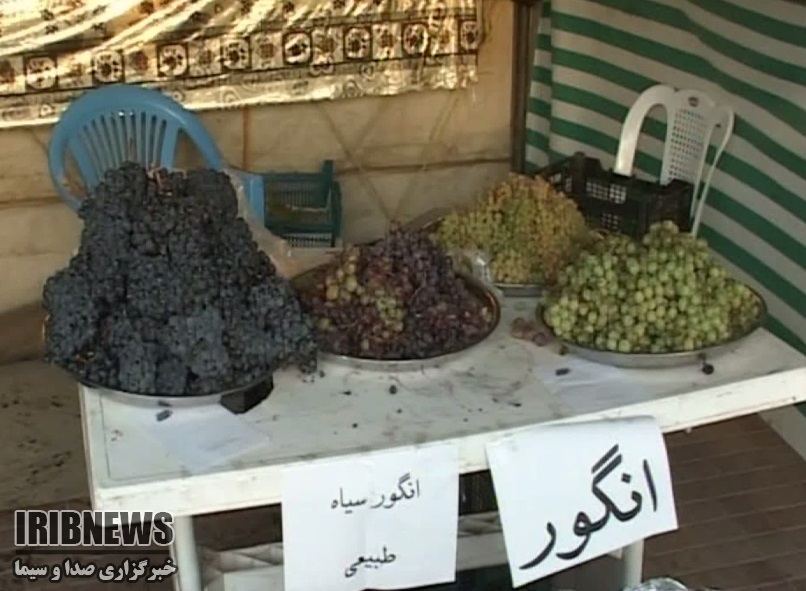 برپایی نمایشگاه عرضه مستقیم عسل و انگور سیاه