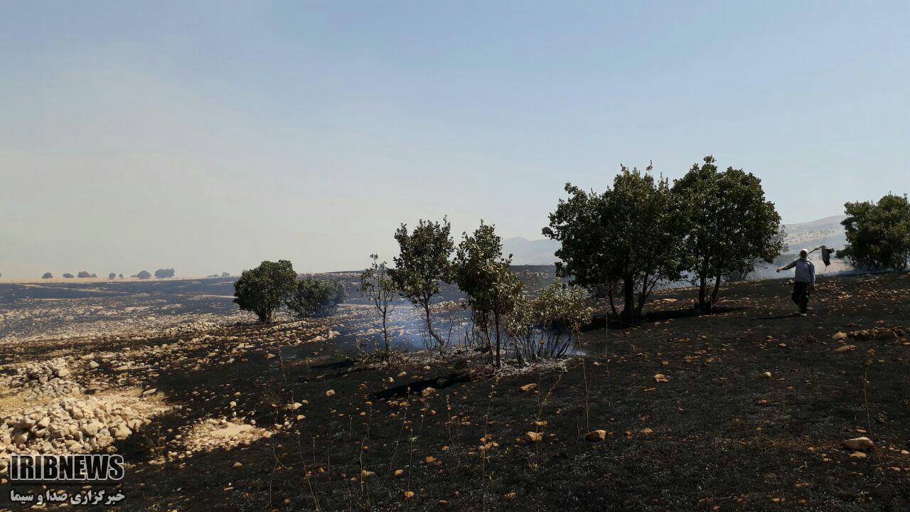 مهار آتش سوزی در ارتفاعات سرکش شهرستان گیلانغرب