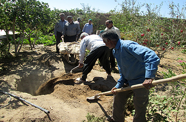 پرکردن داوطلبانه چاه های غیرمجاز در شهرستان نهبندانی