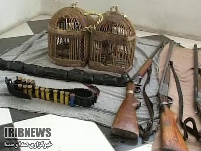 دستگیری شش شکارچی متخلف در مهاباد