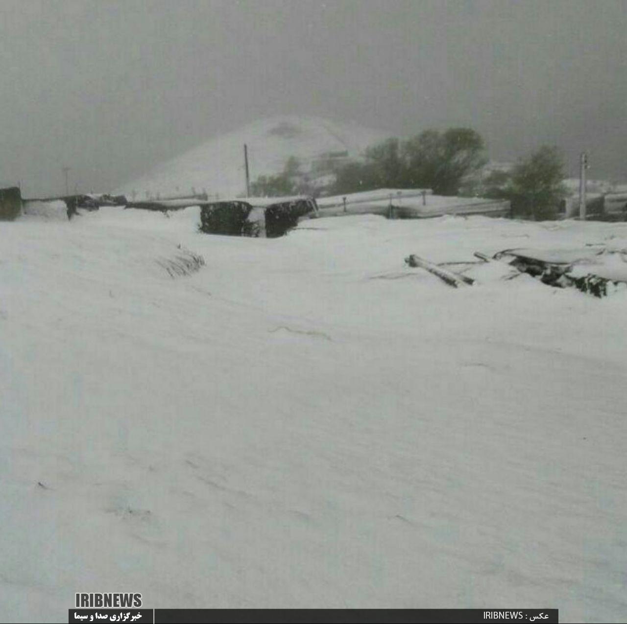 بارش نخستین برف پائیزی در استان اردبیل