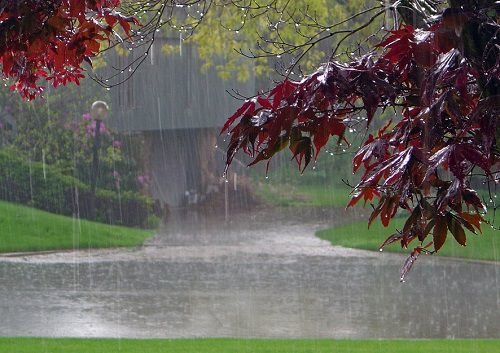 میانگین بارش دوازده روز اول سال آبی جاری ؛ 2.7 میلی متر