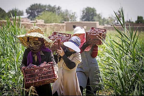 برگزاری همایش ملی نقش‌آفرینی زنان روستایی و عشایری در توسعه پایدار