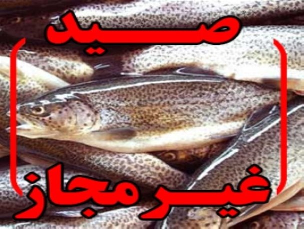 دستگیری یک نفر صیاد غیر مجاز با استفاده از سم در پارک ملی دز