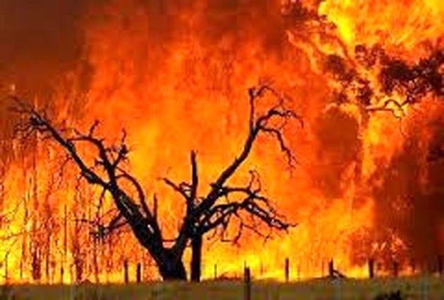 آتش سوزی 10 هکتار از جنگل های گچساران