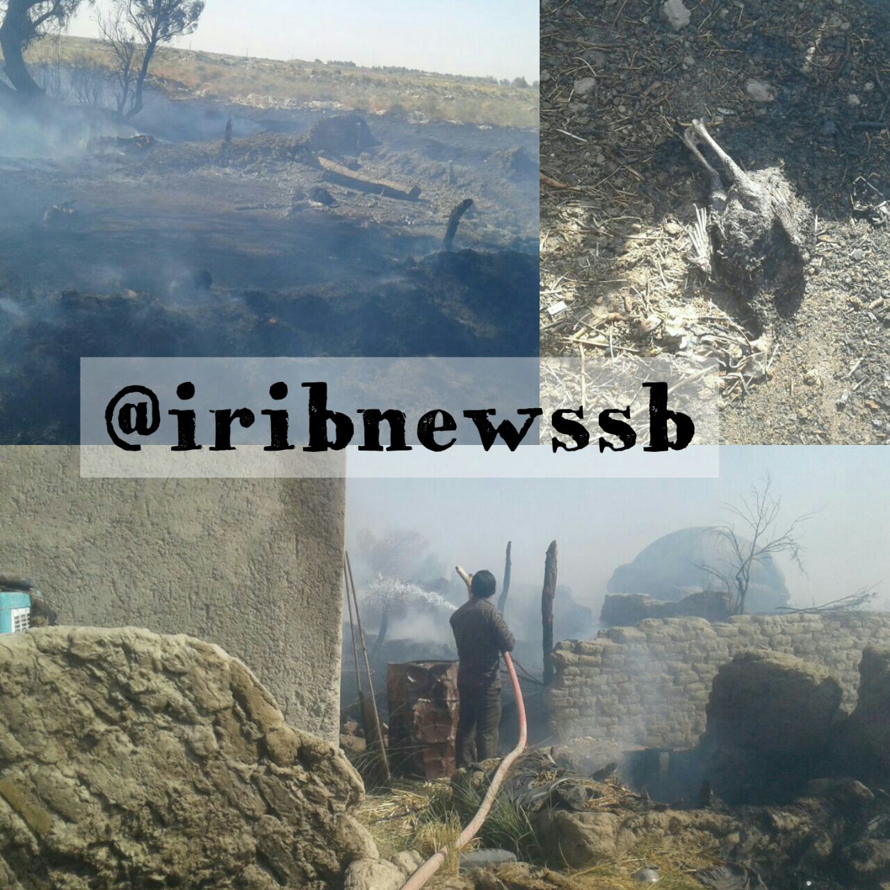آتش گرفتن علوفه ها در روستای محمدصفر از توابع شهرستان هامون