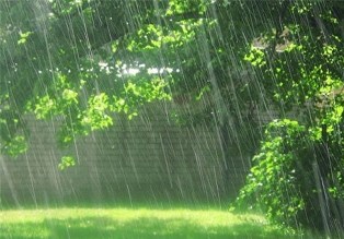 بارش بیش از 4 میلی متر باران در رامسر