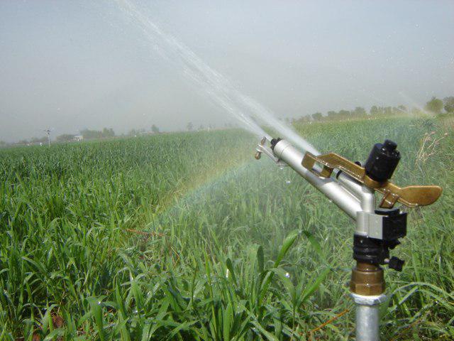 اجرای سیستم آبیاری قطره ای در گندم زارهای قزوین