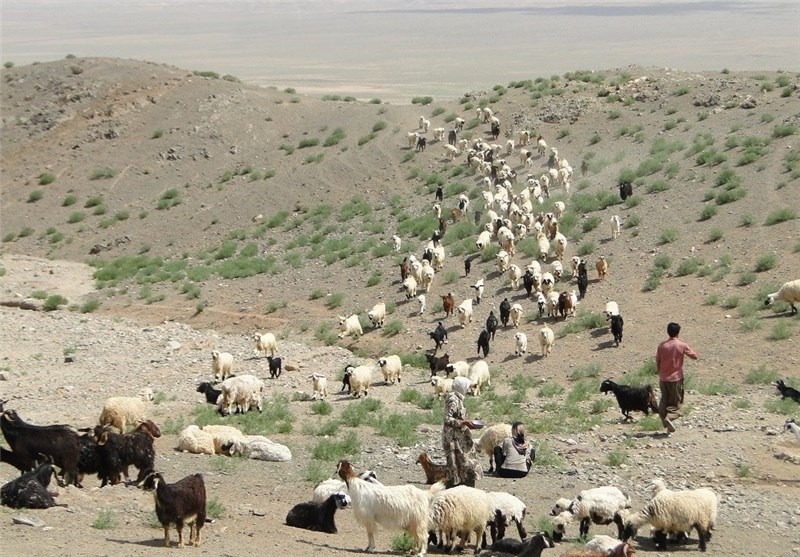 بازگشایی راه‌های عشایری گچساران