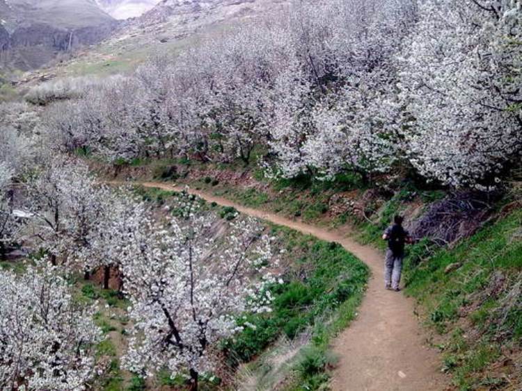 سنگان؛ روستای فراموش شده