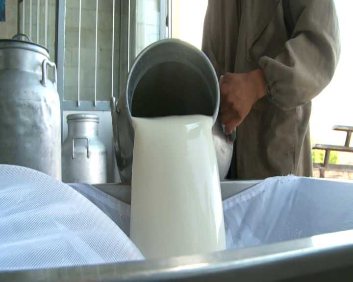 افزایش قیمت شیر در خراسان جنوبی