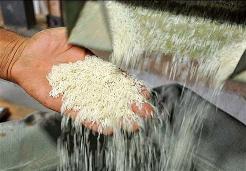 تمدید ممنوعیت واردات برنج