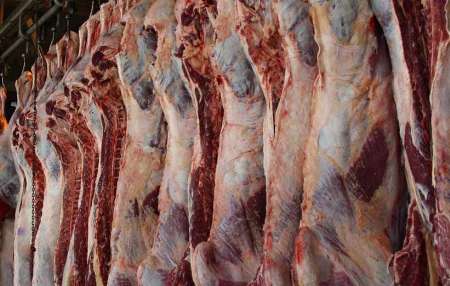 کاهش قيمت گوشت گوسفند در بازار