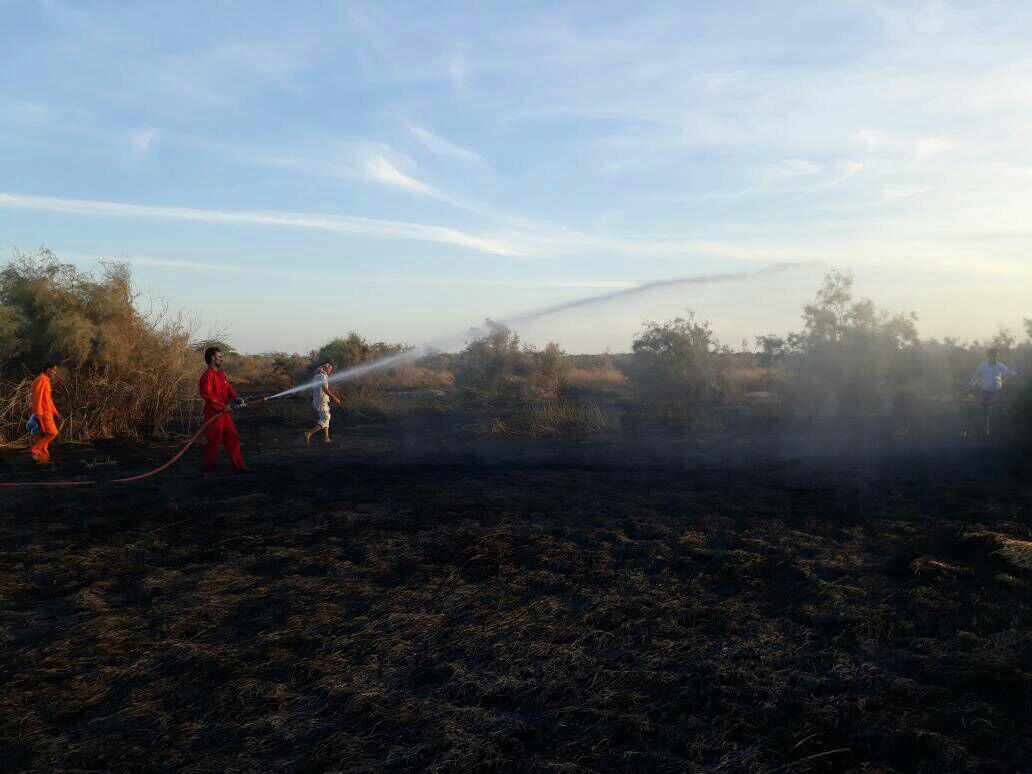 آتش سوزی در ۵ هکتار از جنگل‌های روستای کندال سیریک