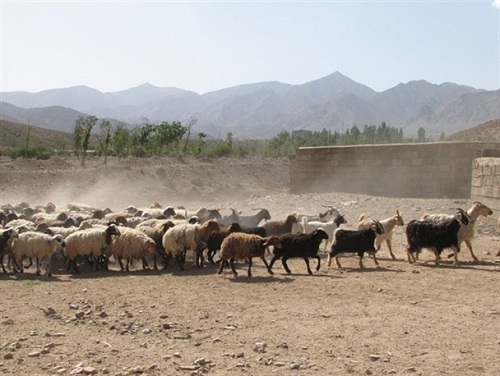 گزارش مکتوب ... کوچ در مسیر خشکسالی