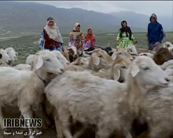 پنج هزارو 300 خانوار عشایری خراسان شمالی؛ آماده کوچ بهاره