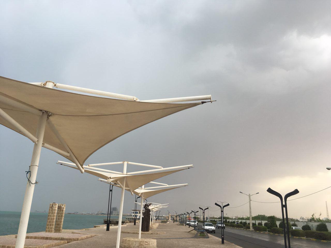 بارش باران و طراوت بهاری در استان بوشهر