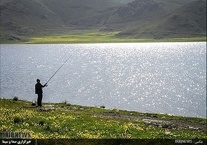 موفقیت طرح رها سازی اردک ماهی در دریاچه نئور