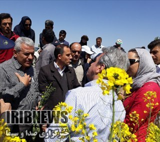 بررسی کشت کلزا در کشور توسط کارشناسان فرانسوی