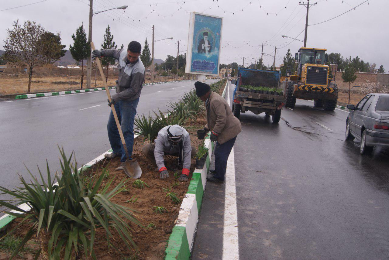 خودکفایی شهرداری مود در تولید گل و نشاء