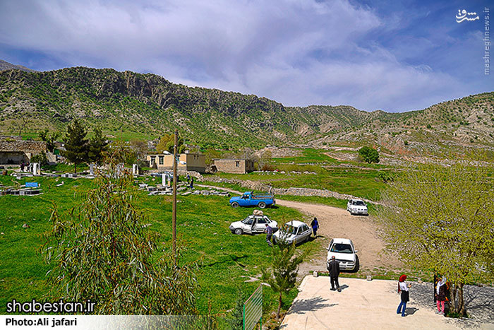 ضرورت حفاظت از طبیعت زیبای ایلام