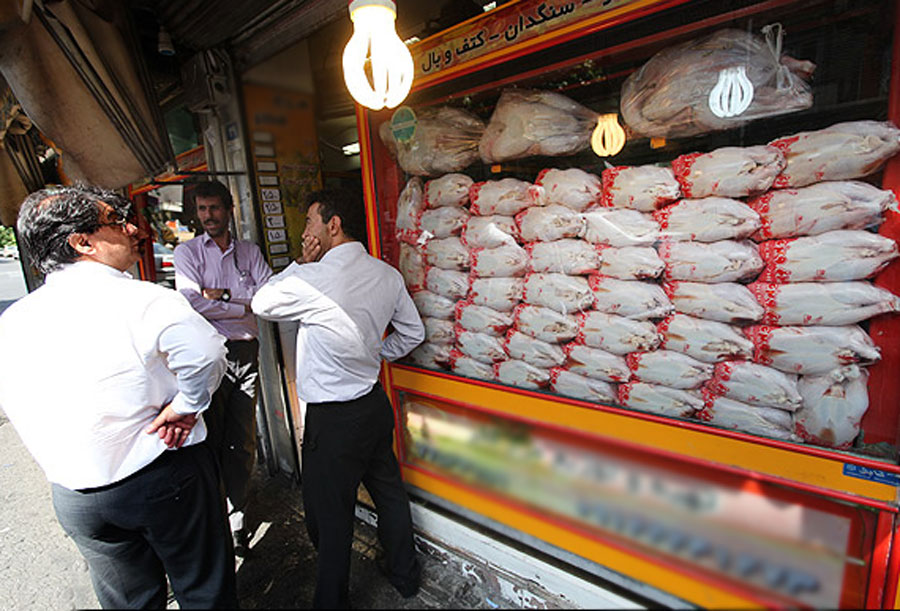 عرضه مرغ آماده طبخ؛ ۱۴۵۰۰ تومان در بازار