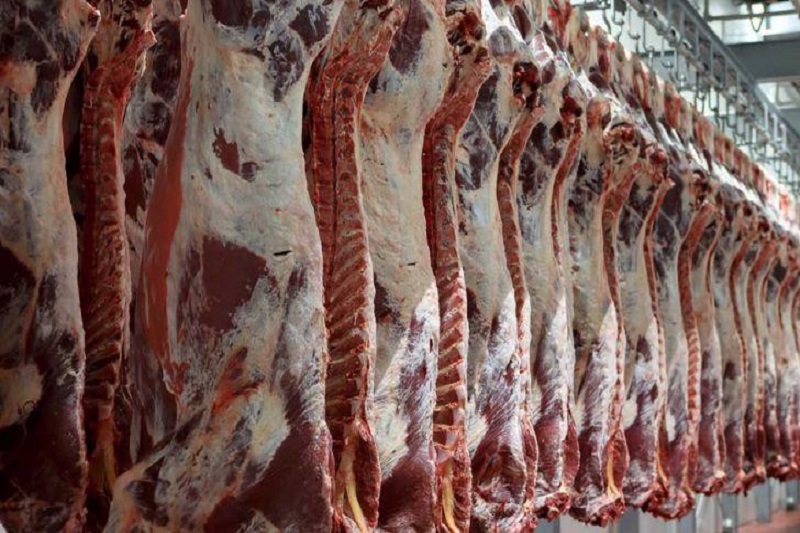آغاز توزیع گوشت قرمز گرم با قیمت دولتی در یاسوج