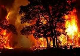 مهار آتش سوزی در جنگل های رضوانشهر