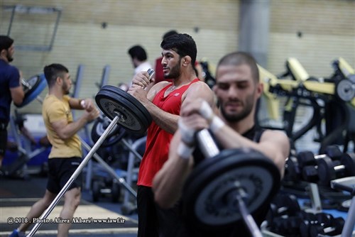 تست آمادگی جسمانی کشتی گیران