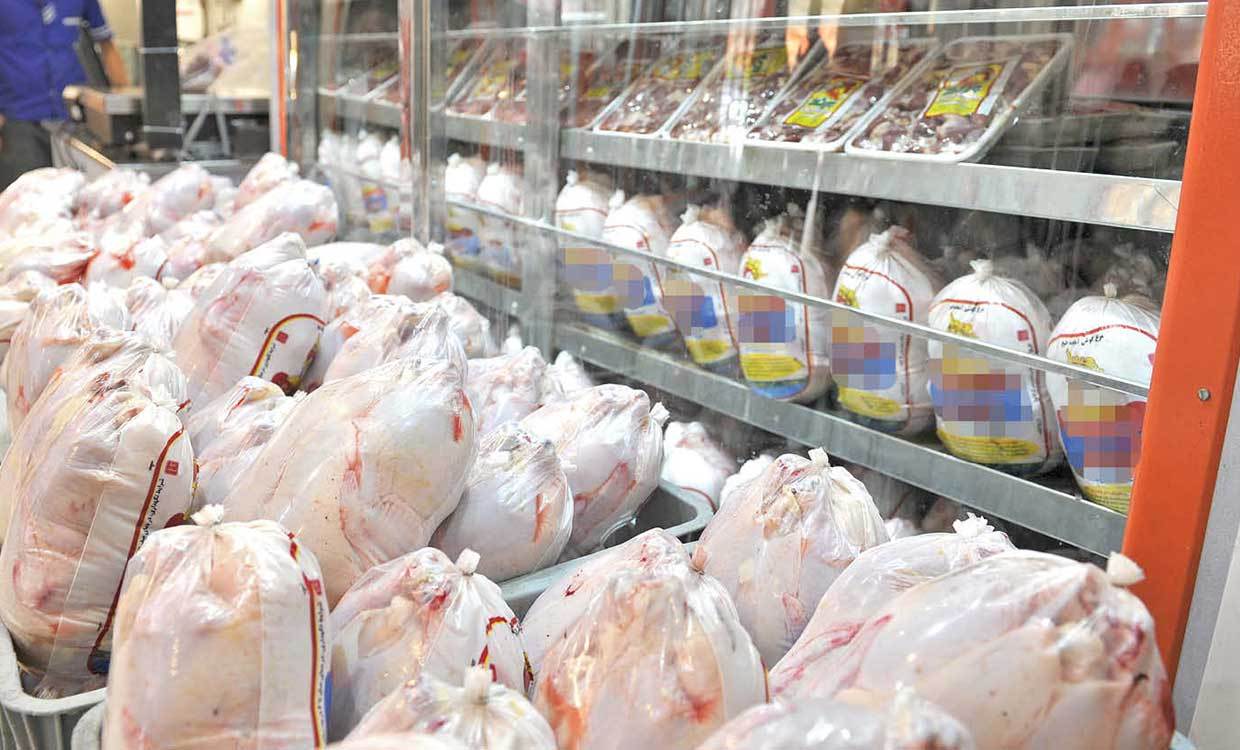 عرضه مرغ آماده طبخ به قیمت ۱۳ هزار و ۱۵۰ تومان