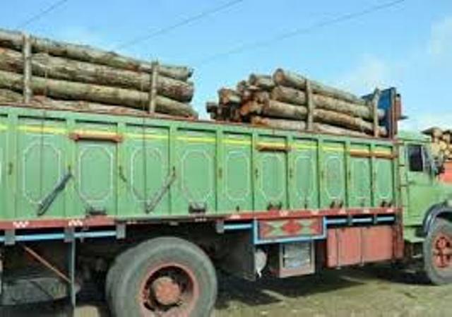 توقف دو کامیون حامل چوب قاچاق در گچساران