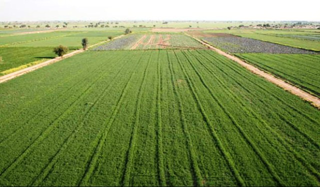 نوسازی ۱.۵ میلیون هکتار اراضی مدرن کشاورزی