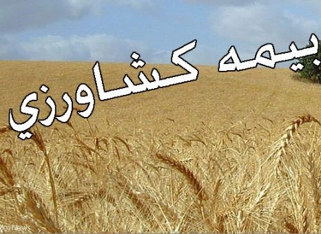 تمدید بیمه محصولات پاییزه در خوزستان