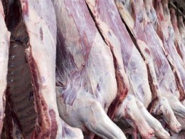 توزیع بیش از 2000 تن گوشت گرم و منجمد از ابتدای سال در بازار خوزستان
