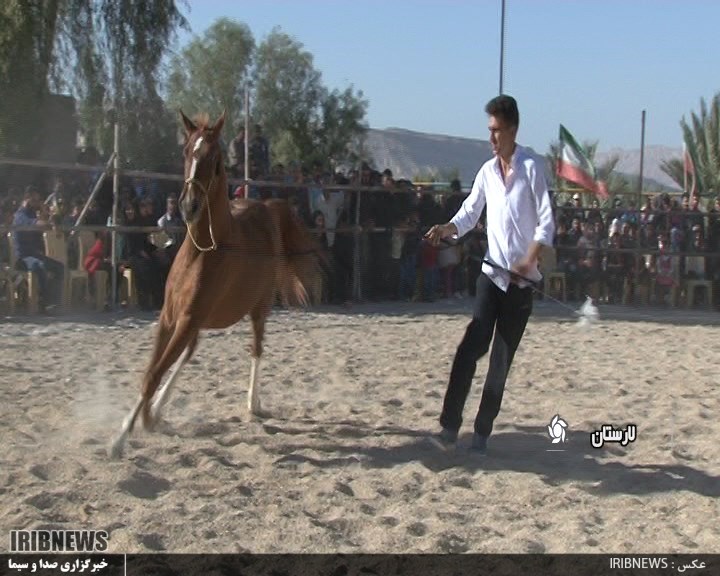 گردهمایی اسب داران و سوارکاران لارستان