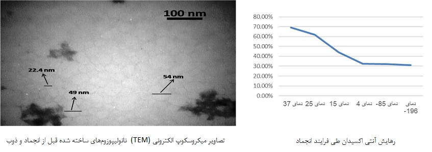 ساخت نانو لیپوزوم حساس به سرما