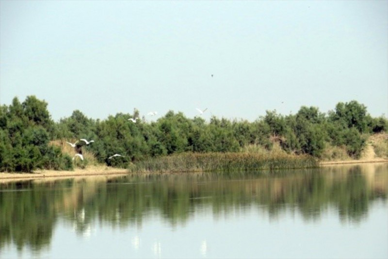 قایقرانی در رودخانه حله