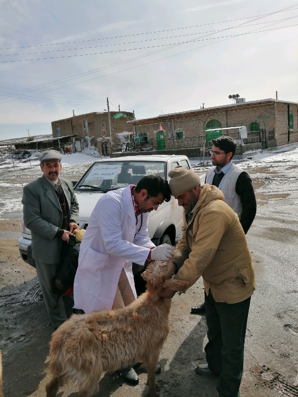 معاینه رایگان دام در روستاهای کم برخوردار شهرستان خوشاب