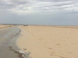 جاده ساحلی بوشهر-گناوه همچنان بسته است