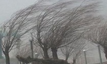 وزش تند باد در استان مرکزی