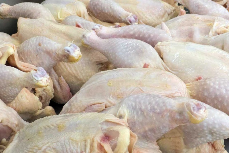 ممنوعیت عرضه گوشت مرغ کشتار روز بصورت قطعه بندی