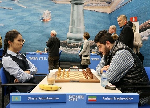 برد استاد بزرگ ایران در مسابقات شطرنج تاتااستیل