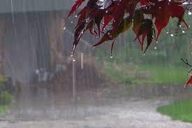 بارندگی در خراسان رضوی 45 درصد افزایش یافت