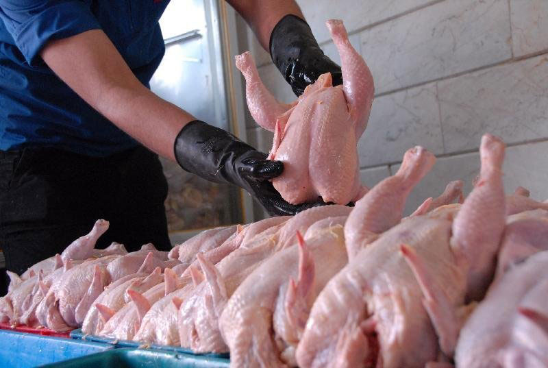 توزیع ۱۰ تن مرغ گرم به بازار یاسوج