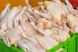 فروشندگان موظف هستند مرغ کشتار روز را با قیمت ۱۲ هزار و‌۵۰۰ تومان توزیع کنند