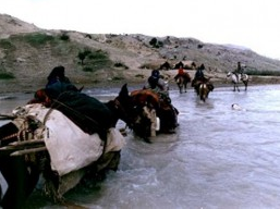 جا‌به‌جایی عشایر در معرض سیلاب در خوزستان به مناطق امن